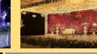 Reception Floral Wall Stage - Velora Villa Udaipur